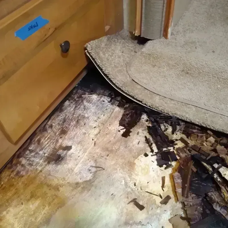 Wood Floor Water Damage in White Pigeon, MI